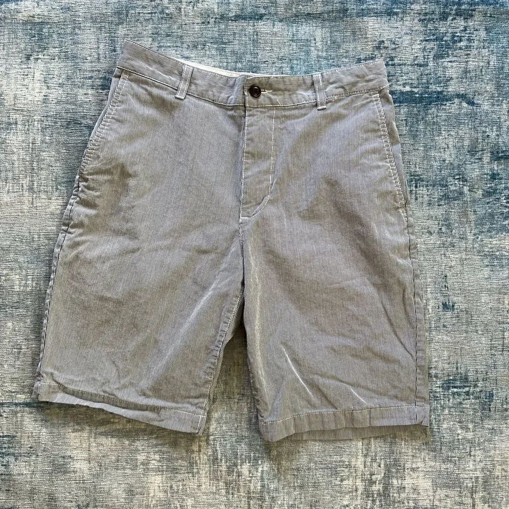 Mens Dockers Blue and White Pinstripe Flat Front Shorts Size 30